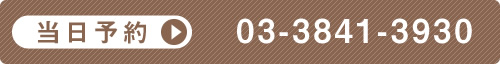 電話番号 03-3841-3930