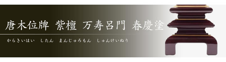 Flower.ページ zinnia-flower-under-